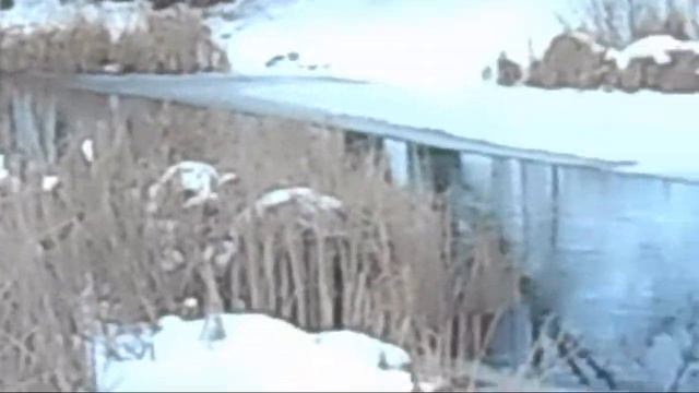 Усманка Сточные воды перед пляжем Экология Планеты смотреть онлайн