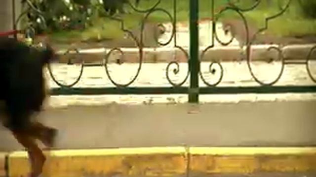 Вот так вот бывает) смотреть онлайн
