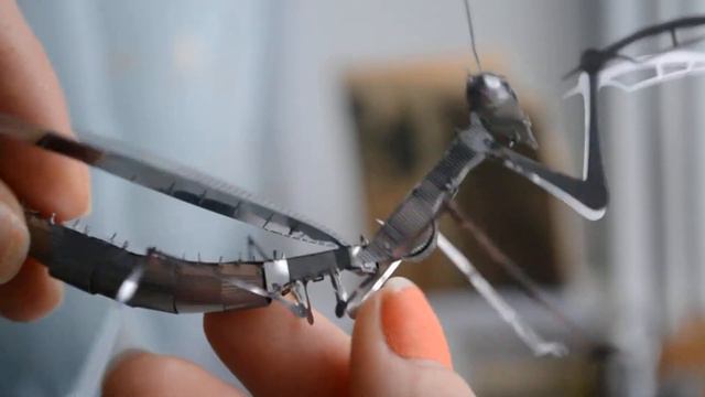Металлический 3D пазл "Богомол" с магазина ChinaBuye.com (DIY 3D Metallic) (7) смотреть онлайн