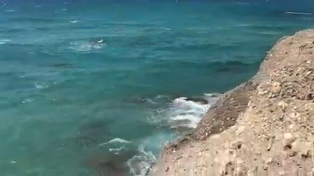 Замурррчательное Путешествие – Предназначение быть Женщиной смотреть онлайн