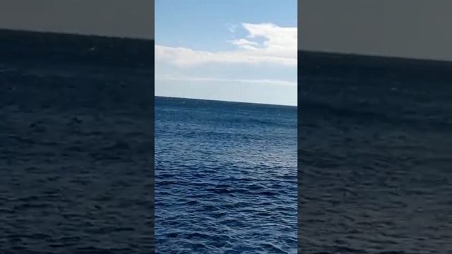 Ялта Кацивели,водичка 16 + купание продолжается)))9 ноября 2023 г. смотреть онлайн