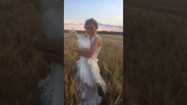 Свадебная фотосессия с белым павлином смотреть онлайн