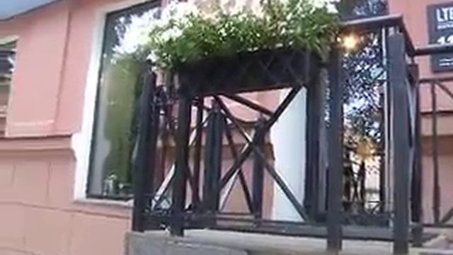 Урок 1. Прогулки по фэн шуй в городе смотреть онлайн