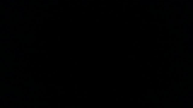 Brown Baggin' - Blown Blargin'