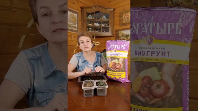 Идеальный грунт для рассады. Как выбрать и на что стоит обратить внимание? смотреть онлайн