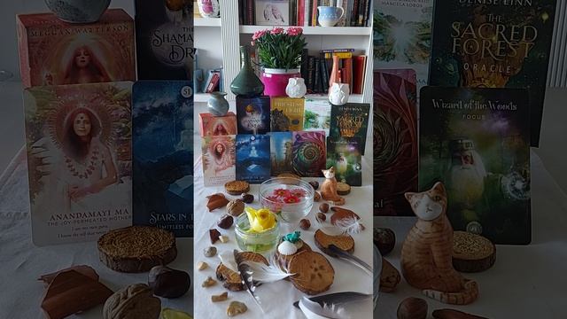 Libra ♎ Anandamayima. Stars in the Sky. Precognition. The Spiral. Wizard of the Woods. смотреть онлайн