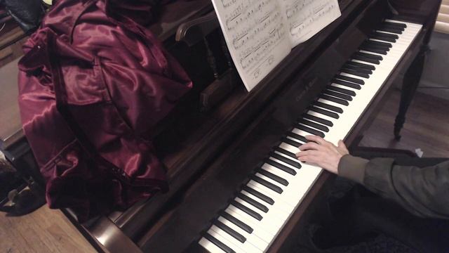 (HD) Lesson in Progress, Chopin B minor Waltz, Op. 69, No. 2 (Back tempo practicing) смотреть онлайн