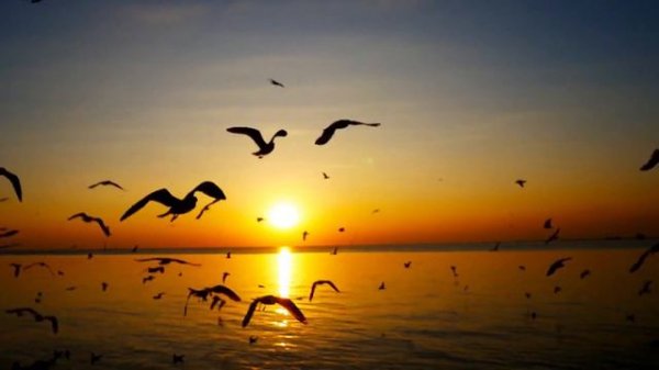 Inspirational Piano Hillsong Worship Instrumental Music - Blessed Instrumental Christian Music 2024