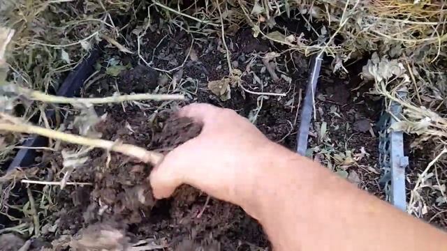 Как разводить червей для рыбалки дома смотреть онлайн