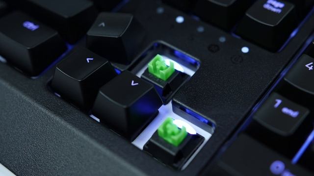 Клавиатура Razer Blackwidow 2019⌨️ : краткий обзор