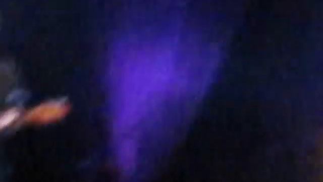 Oracle live in Tralee 2 смотреть онлайн