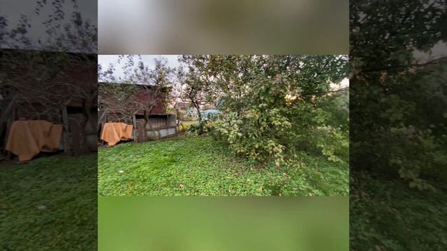 Дача в СО Рассвет г.Брянска смотреть онлайн