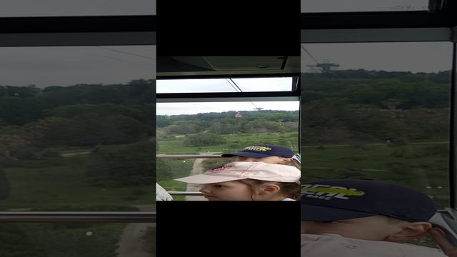 Подъём в Дендрарий парк г.Сочи