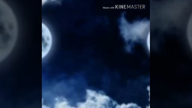 Пони креатор . Песня " Я украду" смотреть онлайн