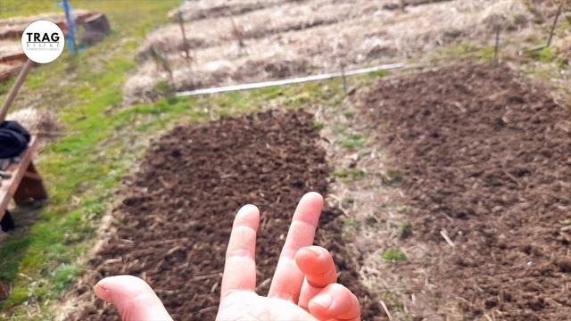 PARADAJZ MARMANDE - ZAŠTITA MRKVE I NEGA BELOG LUKA (2023) [TRAG BILJKE] смотреть онлайн