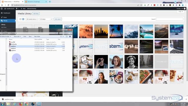 Elementor Create A File And PDF Download Button ??? смотреть онлайн