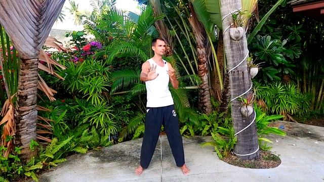 Цигун против стресса. Обретение спокойствия и умиротворения. Цигун для начинающих.mp4