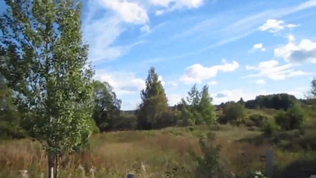 Топинамбур - кусочек солнца . смотреть онлайн