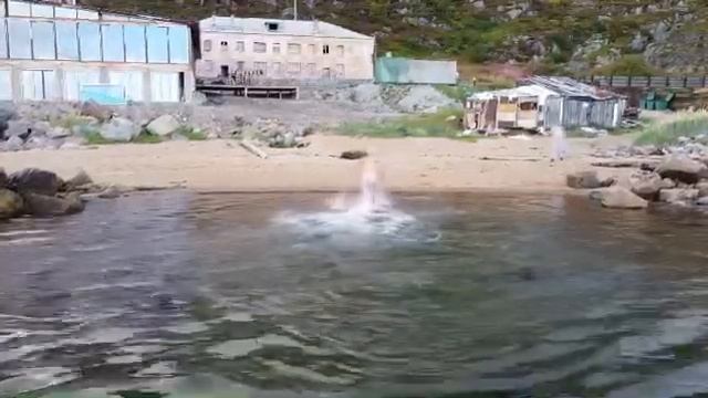 Купание в Северном Ледовитом океане. смотреть онлайн