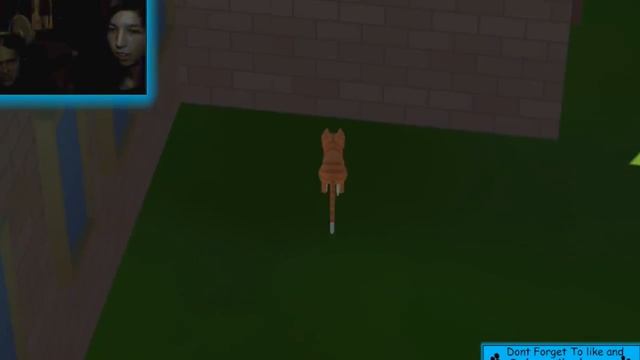 IM AH CAT! (Random Gameplay) Snoozle pooz смотреть онлайн