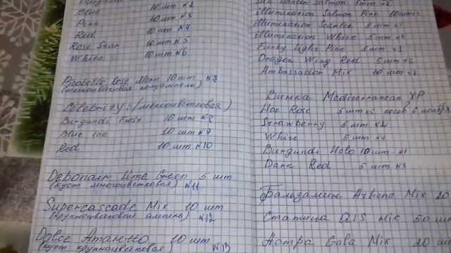 Обзор всходов петунии. Сею кустовую петунию, газанию и цинерарию.