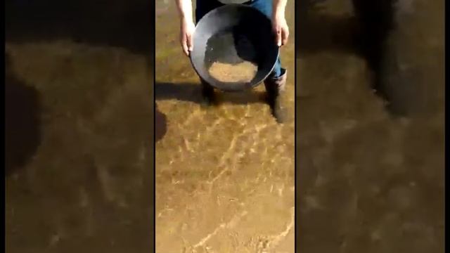 Магнитная сепарация черных шлихов  Костебелов Андрей