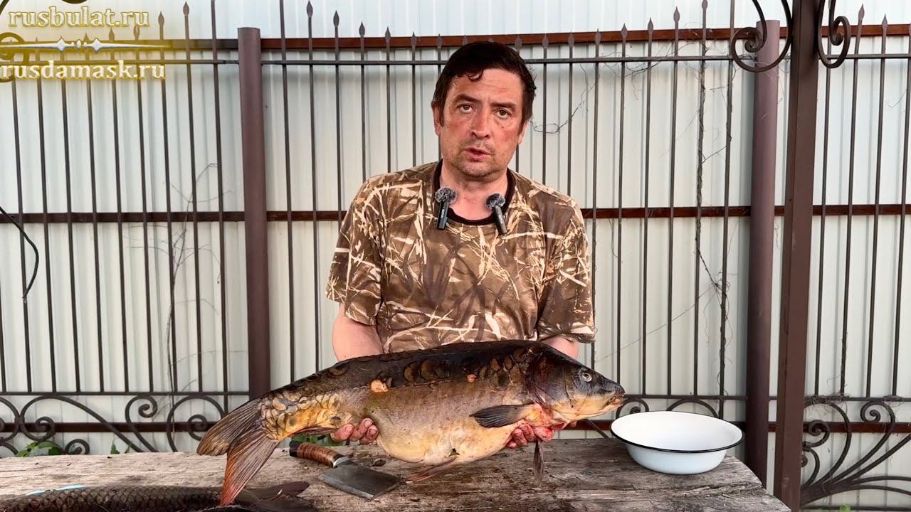Как разделывать большого зеркального карпа тяпкой? смотреть онлайн