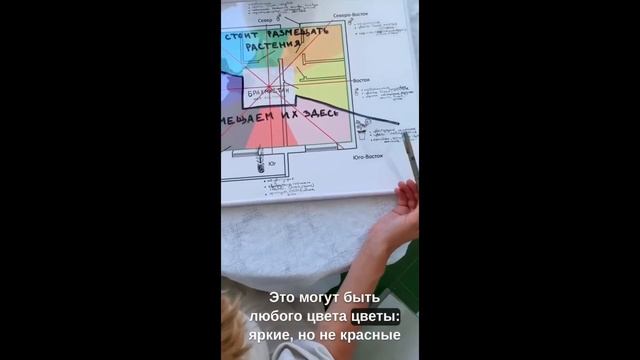 Комнатные растения: как не навредить, размещая их дом смотреть онлайн