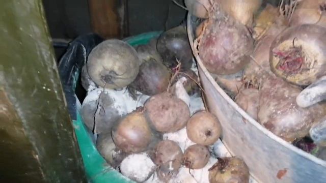 Завершаем дачный сезон. Упало дерево. #осень #дачныйсезон смотреть онлайн