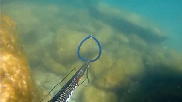 Актау. Подводная охота на Каспии. Часть 1 / Aqtay. Caspian sea spearfishing. Part 1 смотреть онлайн