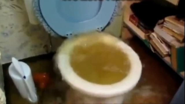 Унитаз смотреть онлайн