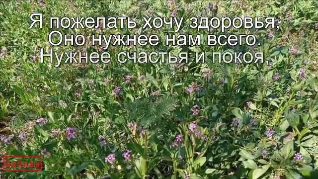 Будь здоров! Пожелание здоровья. смотреть онлайн
