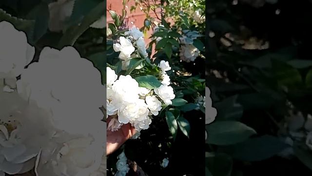 28 июня 2023 г. смотреть онлайн