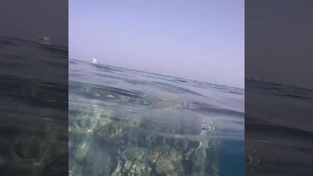 Radisson Individuals Port Ghalib / Marsa Alam / Beach And Reef / Plaża I Rafa