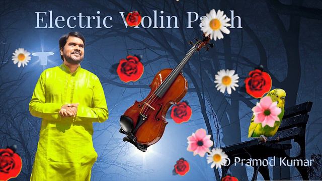 ELECTRIC VIOLIN PATCH || A Small Bit ~ By || D PRAMOD KUMAR ||