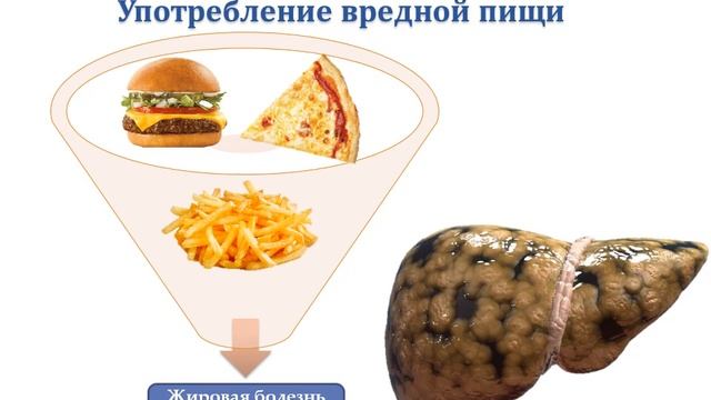 Апкосул защити свою печень с помощью природы смотреть онлайн