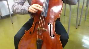 Violonchelo Pizzicato
