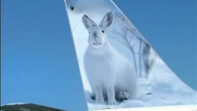 Frontier Airlines: Leather seats смотреть онлайн