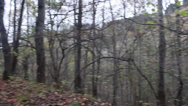 Кисловодский парк. Октябрь-2016 г. смотреть онлайн