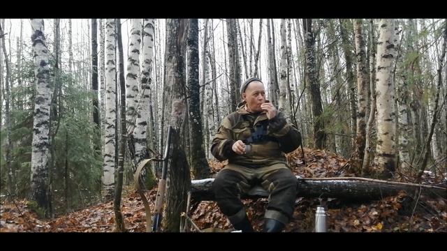 Удачная охота на зайца с эстонской гончей в октябре. смотреть онлайн