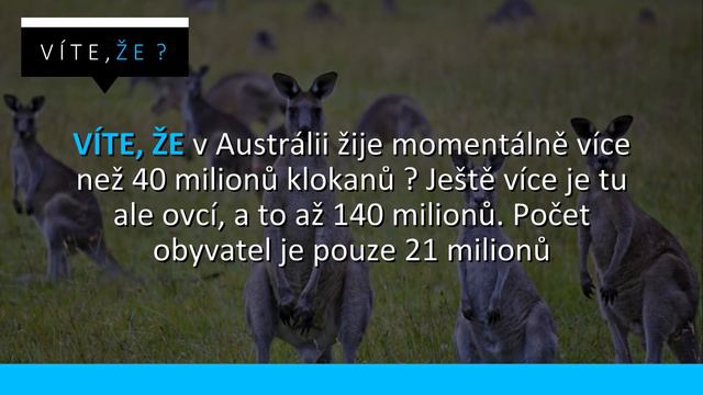 #113 ● VÍTE, ŽE...? смотреть онлайн