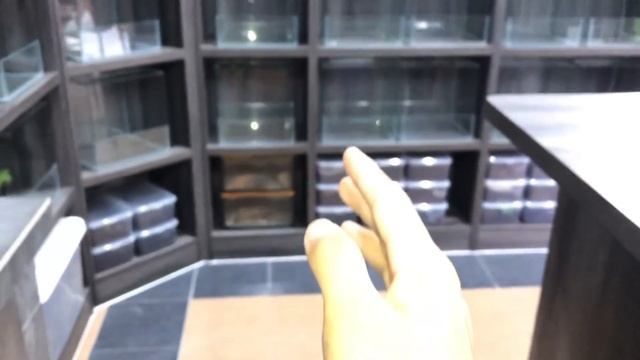 MOVED ALL the TARANTULAs into the NEW TARANTULA ROOM !!! смотреть онлайн