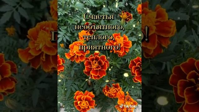 С Днём женского счастья! смотреть онлайн