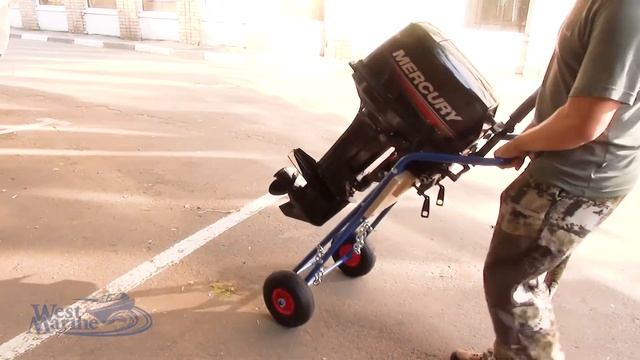 Обзор: складная тележка для ПЛМ "Компакт-плюс" до 15 л.с. смотреть онлайн