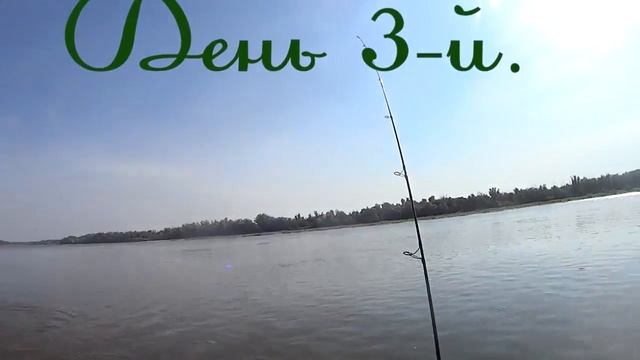 Три дня рыбалки на Дону. День 2-й и 3-й. Трофеи. Fishing on the Don. Perch and pike. Part 2.. смотреть онлайн