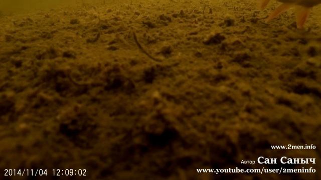 Подборка косяков при съемке на SJ4000 или как только камера не падет на дно смотреть онлайн