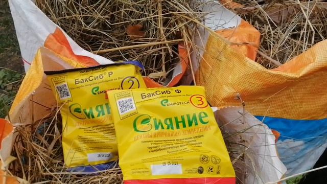 Мульча И Сияние Мифы И Правила // С.Х.У смотреть онлайн