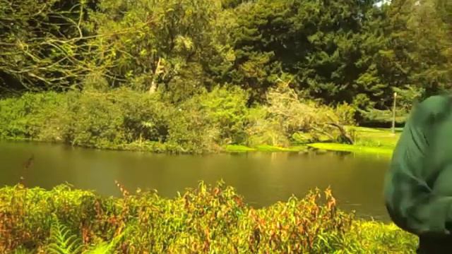 Blue Monk on Alto Clarinet смотреть онлайн