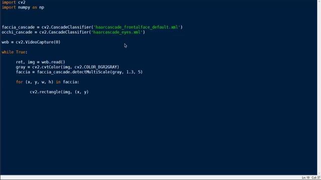 Riconoscimento di un volto e di occhi - Tutorial Python OpenCV pt. 1 смотреть онлайн