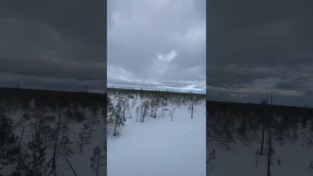 Оршинский мох на вездеходе Sherp N